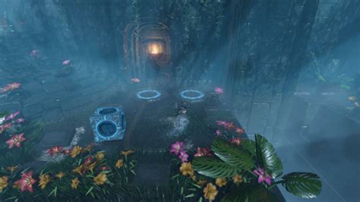 Unravel The Enigmatic World Of Meredith Bagans: Discoveries And Insights